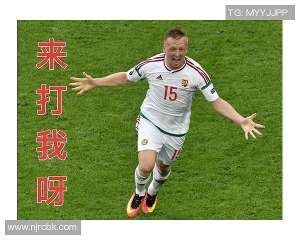 比利时与匈牙利精彩对决视频回顾及赛后分析分享