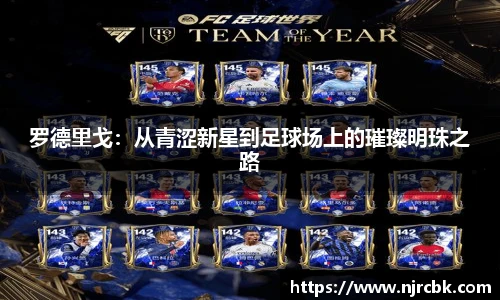 zoty中欧手机下载